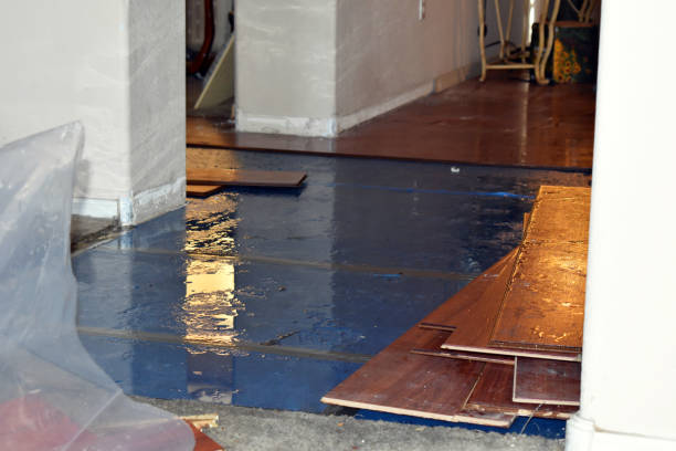 Professional Burst Pipe Cleanup technician working in Green Camp, OH